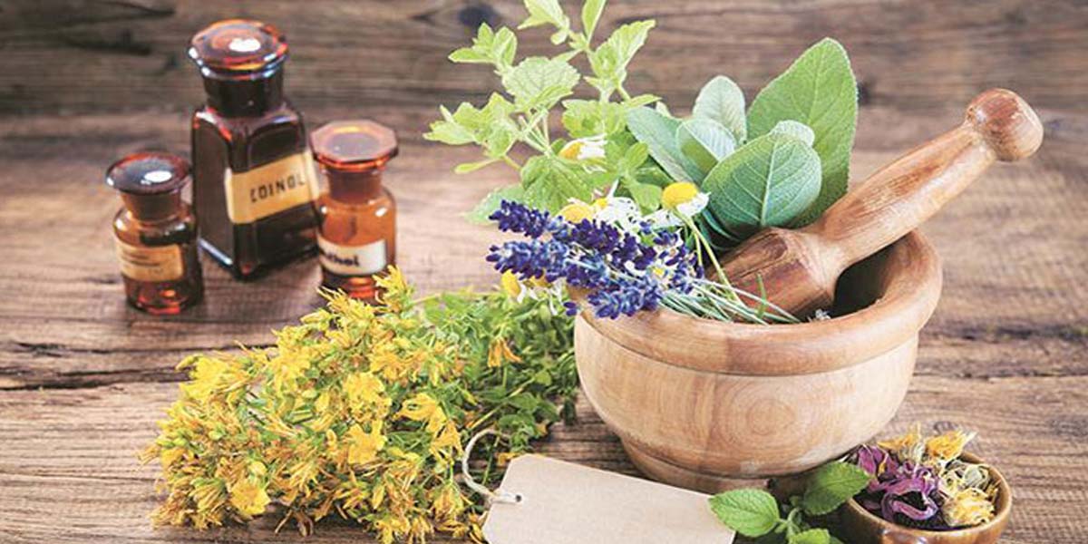نقش گل‌های کمیاب در طب سنتی: از گذشته تا امروز